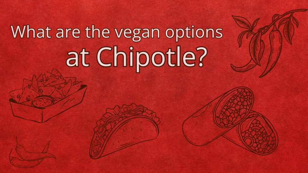 are there vegan options at chipotle