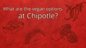 are there vegan options at chipotle